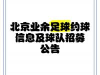 乐鱼体育app-小球是趋势不能因为是大个就让球队适应我