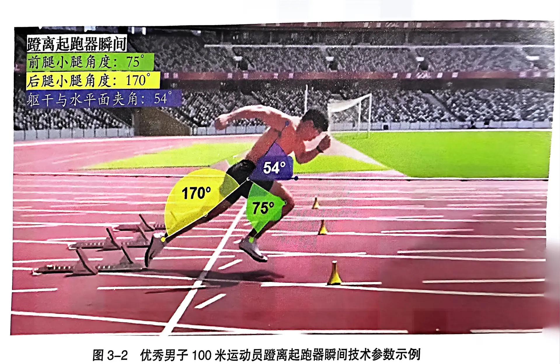 日本短跑选手夺得百米冠军，速度惊人