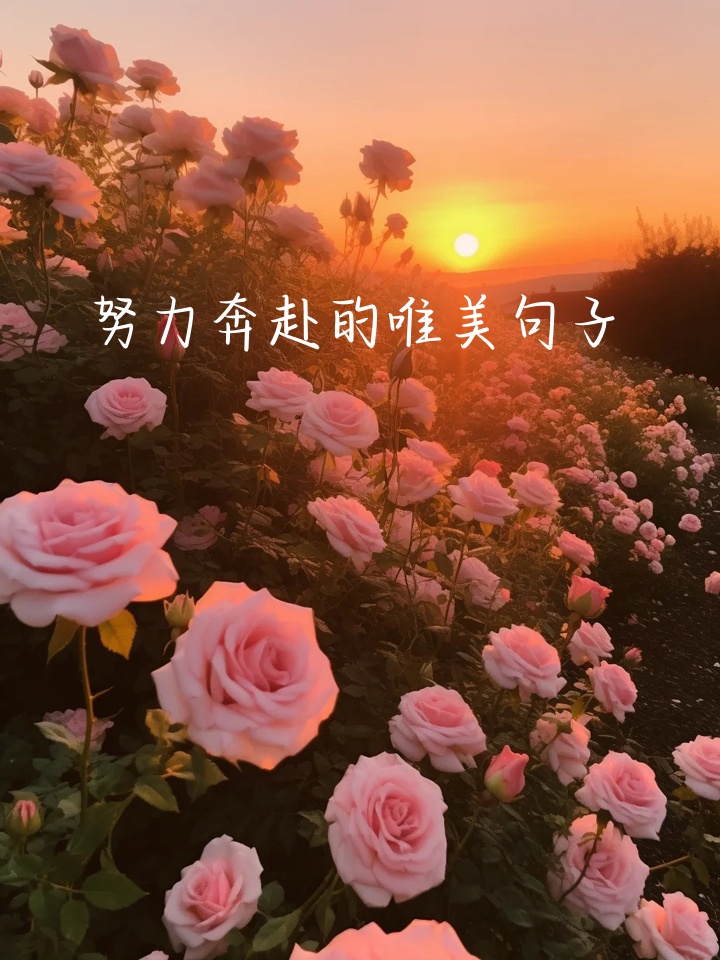 霍芬海姆队挑战强敌，全力以赴追逐梦想